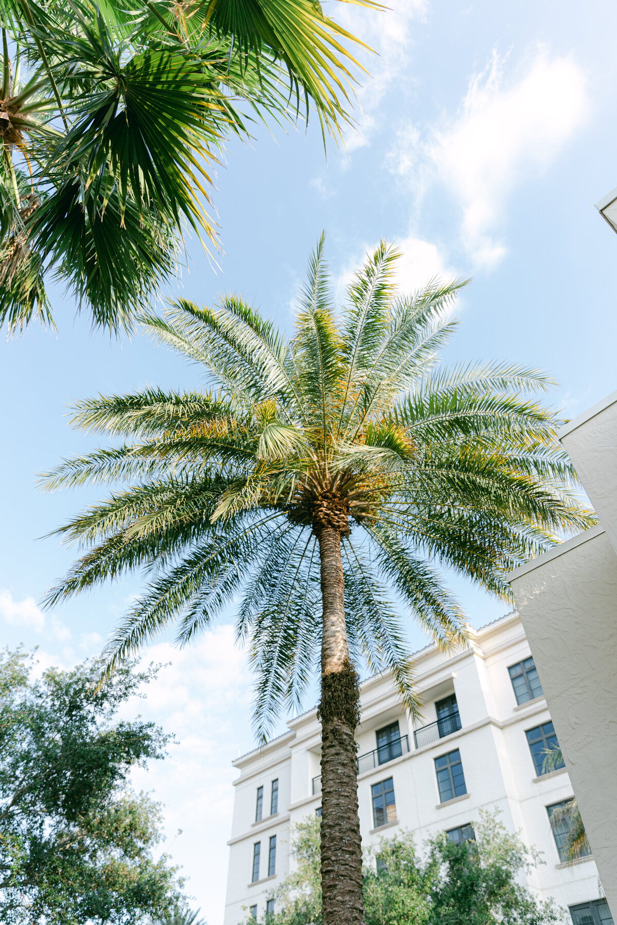 Kristen Weaver Photography Orlando Florida Destination Photographer Worldwide Wedding Editorial Fashion Inspired Clean Film Digital KWP Masters MacKenzie-0024