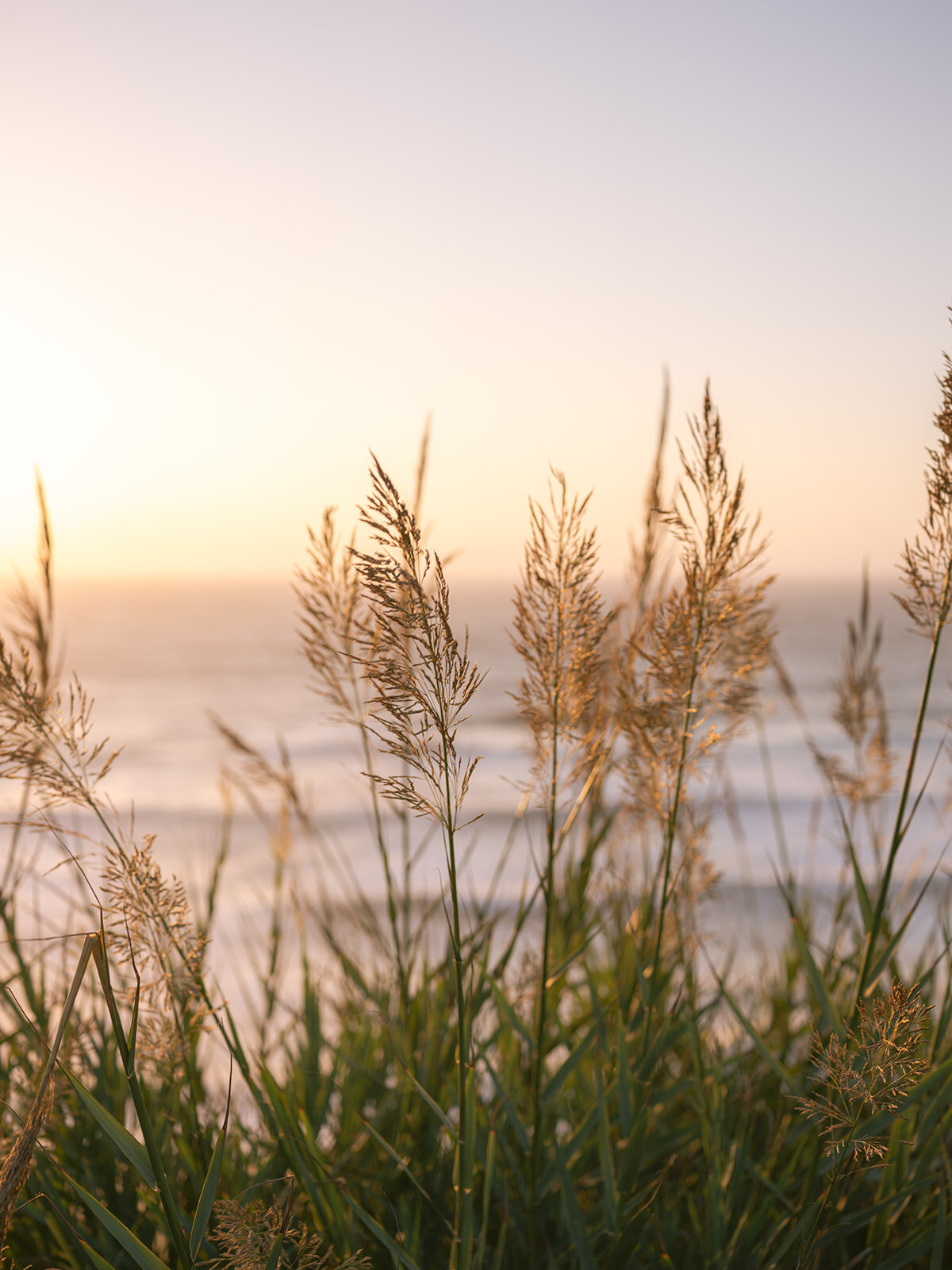 Ericeira retreat photography5