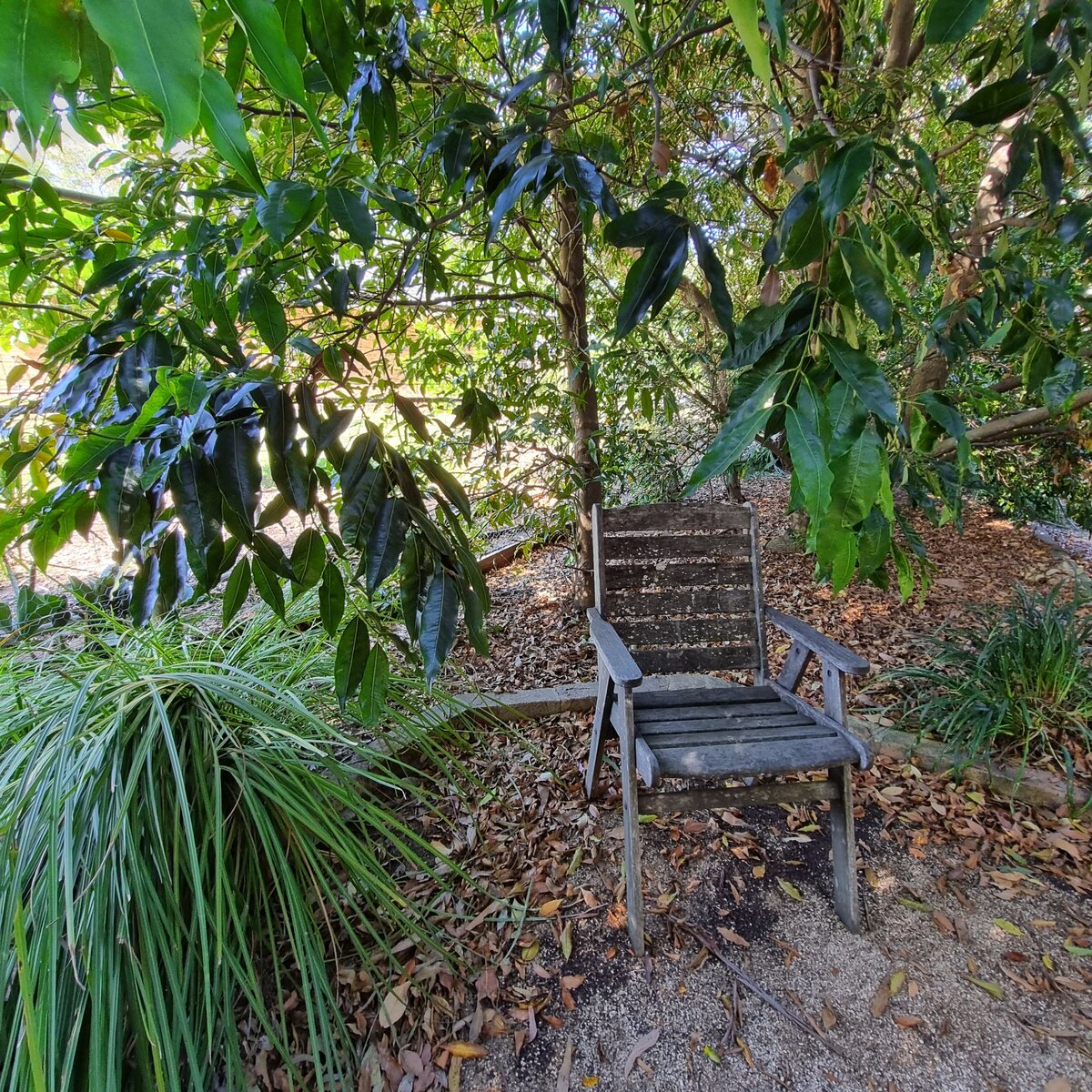 Wooden seat in a quiet garden under trees
