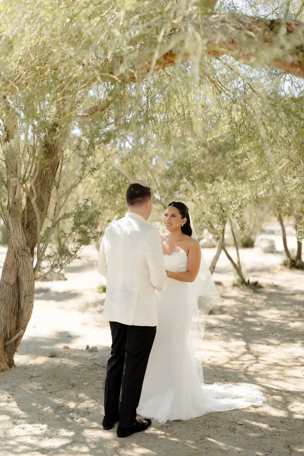 wedding photographers palm desert ca 53