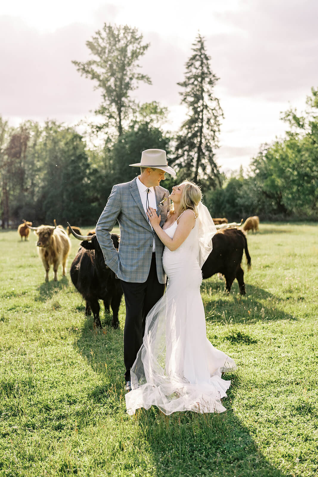 A bride and groom looking at each other with cows in the background at their outdoor Oregon wedding.