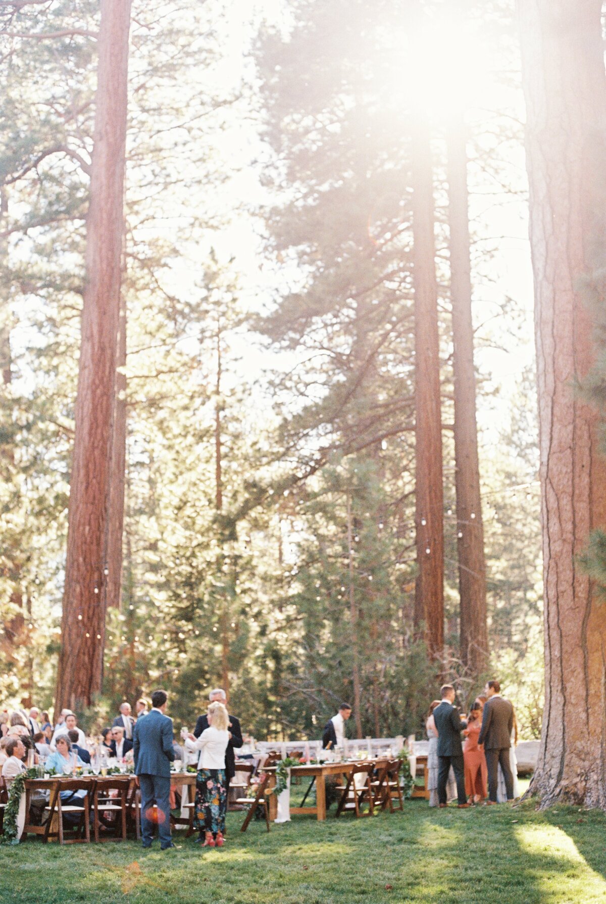 northern-california-wedding-77