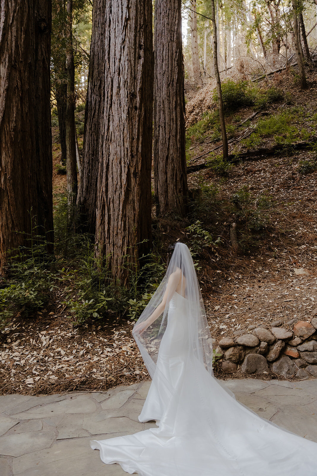 Portraits-221Santa Cruz Wedding