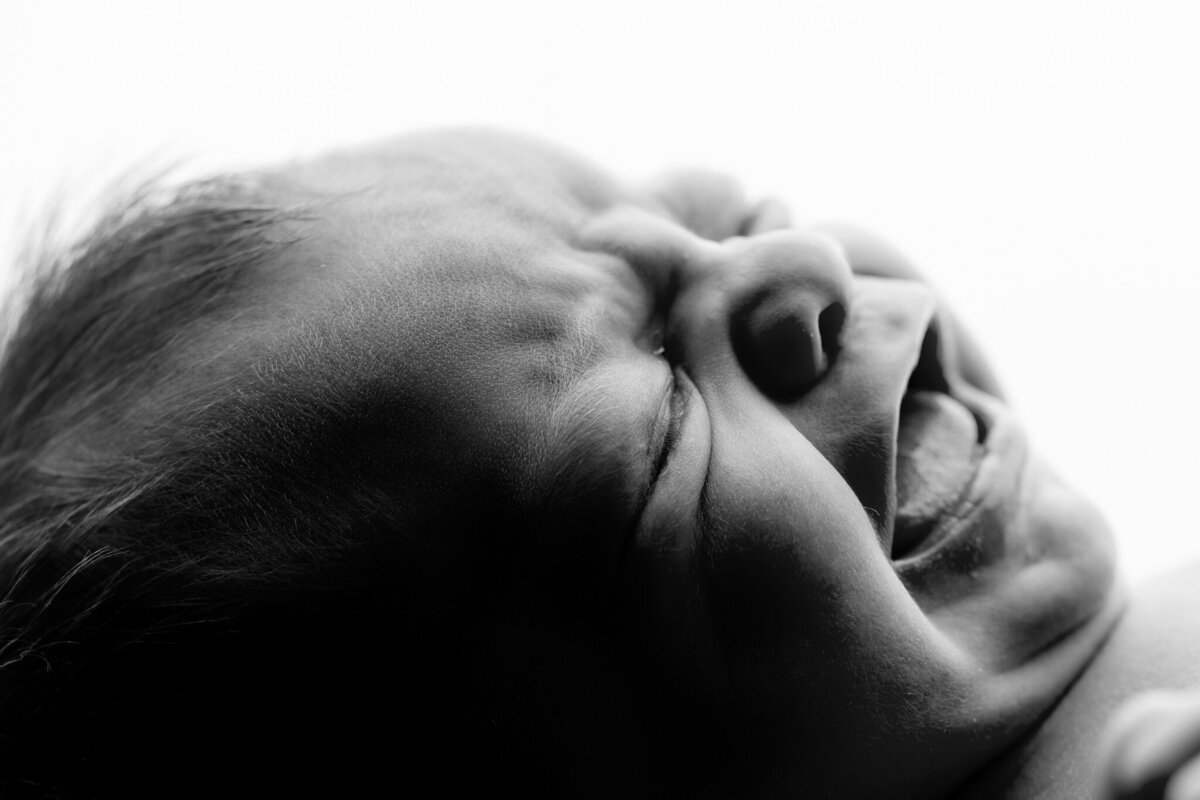 NWA newborn photographer, newborn portraits NW Arkansas newborn photographer near me, professional newborn photos