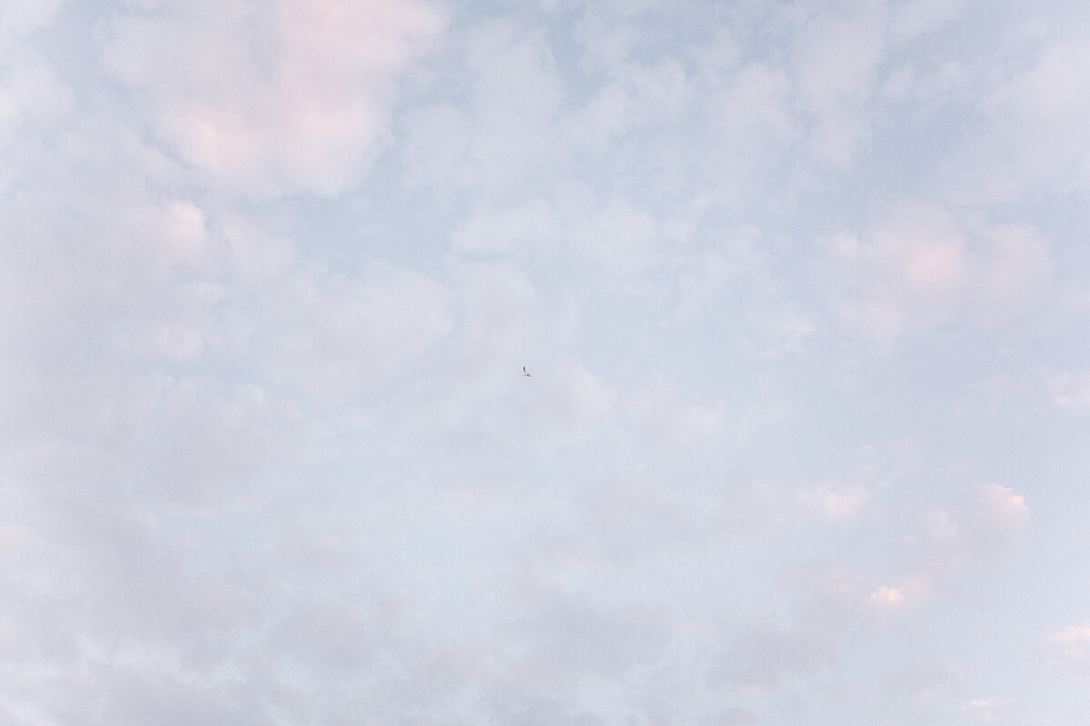 0W8A5585