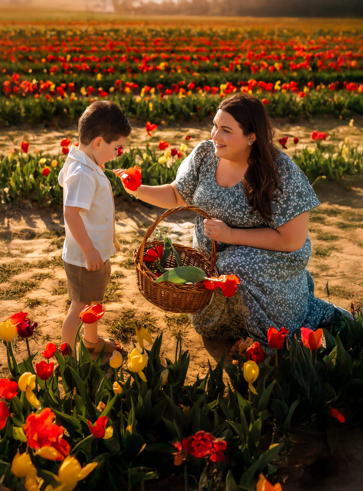 Felicia Chavis Tulip Mini Session-20