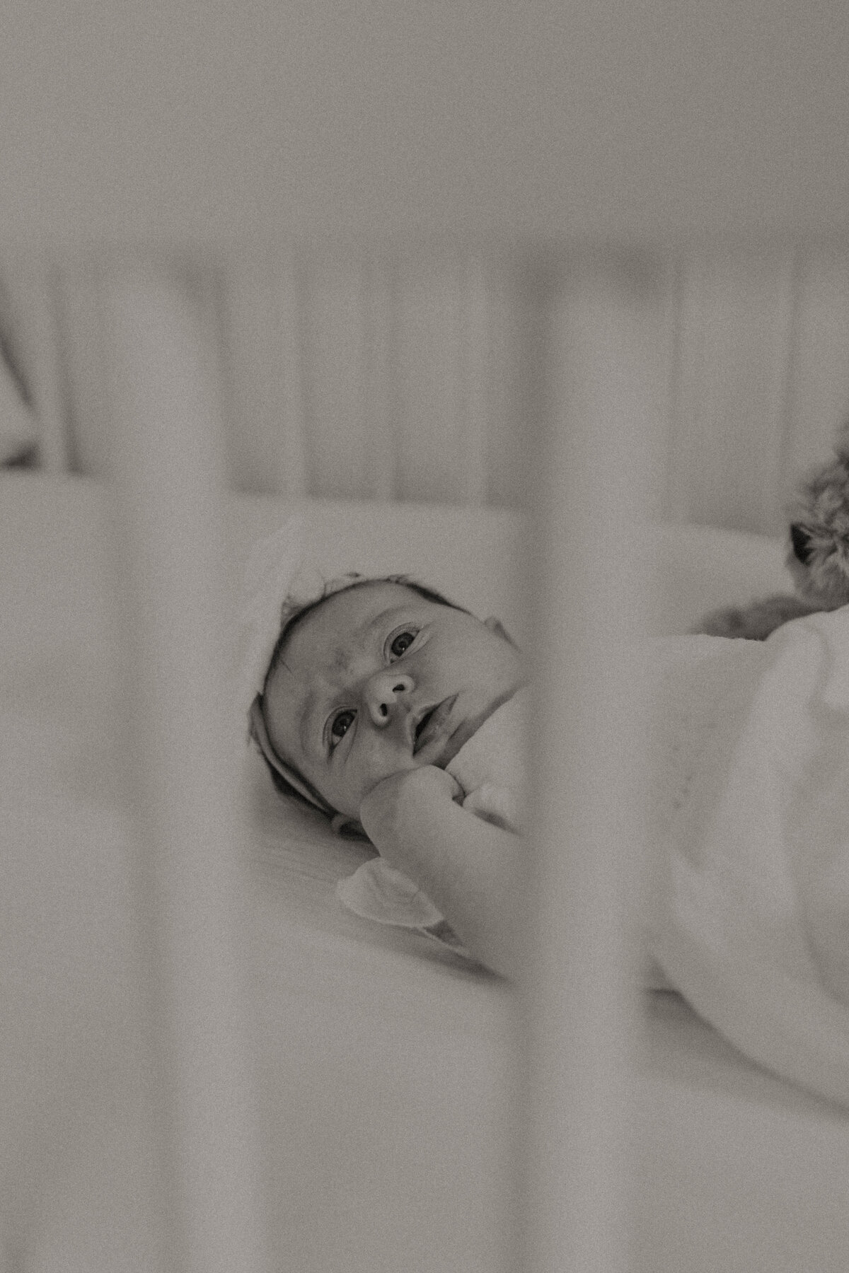RufenerFamily-DevLynchPhoto-7