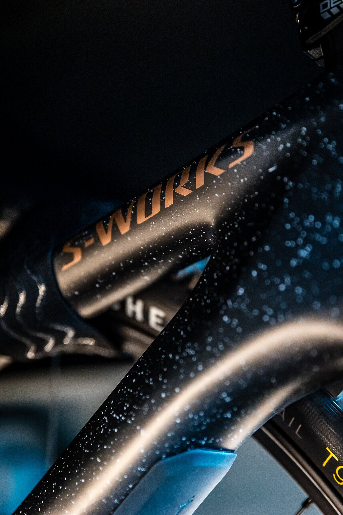 4_WooleyBugger250829_BMV_SlowFastcreative_1880