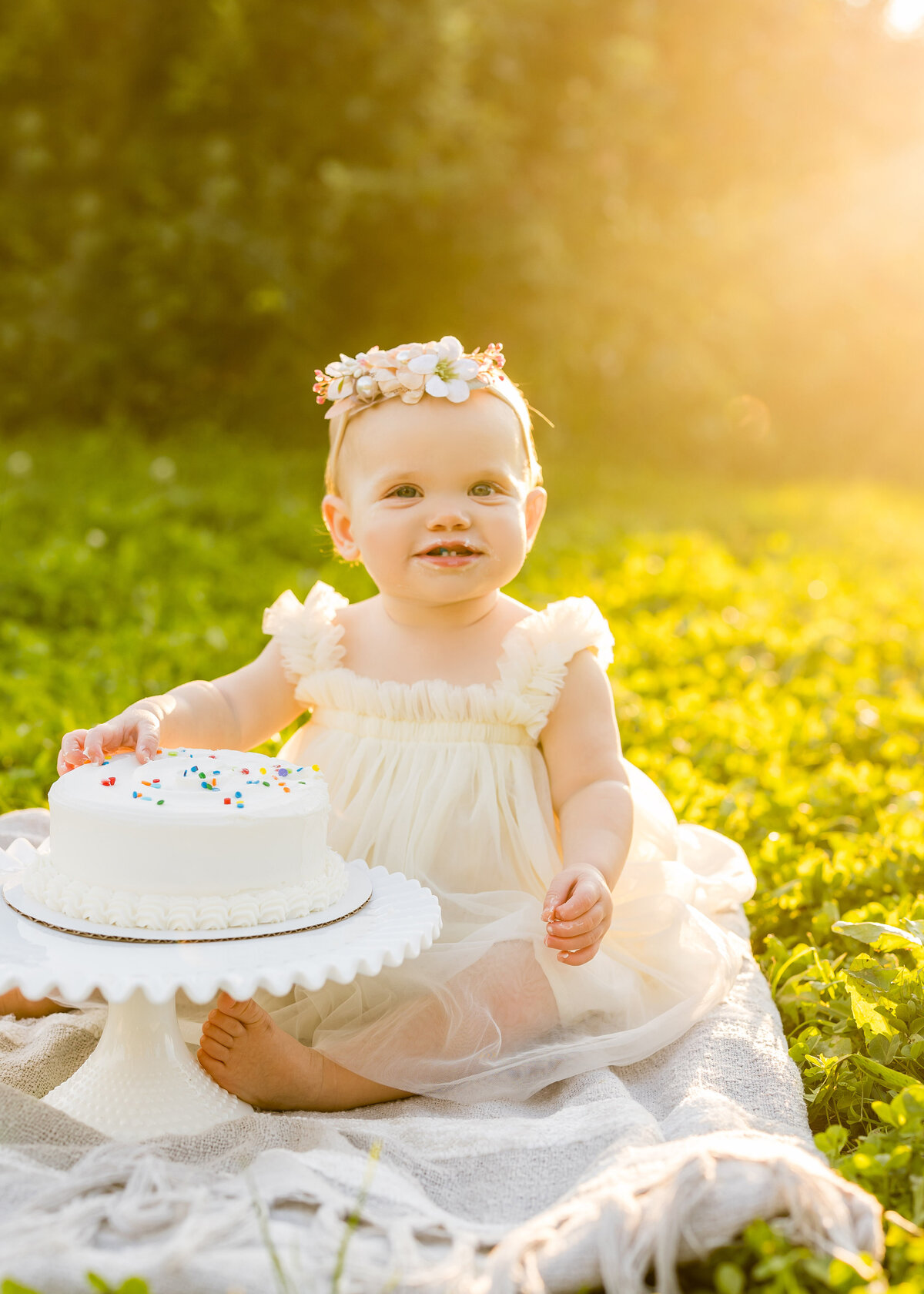 ourdoor cake smash family photo session with one year old boston area