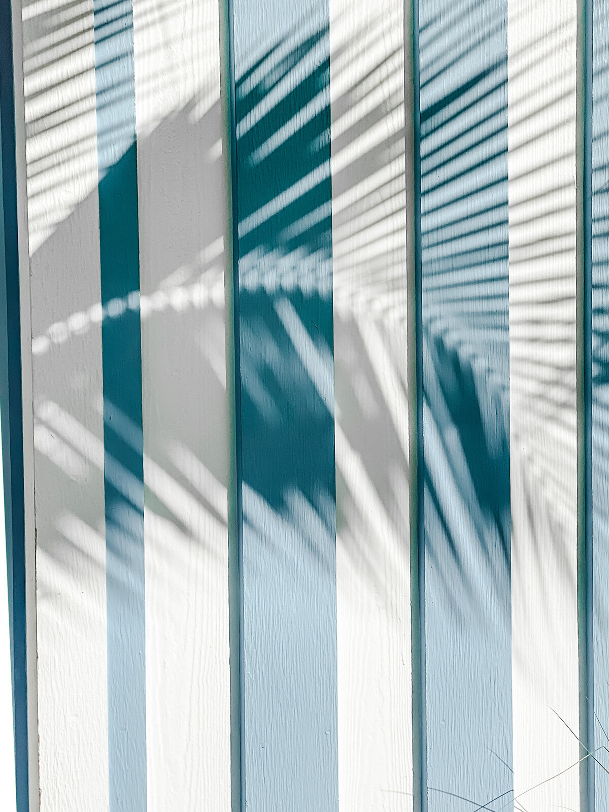 French-Blue_Social-Squares_Styled-Stock_01151