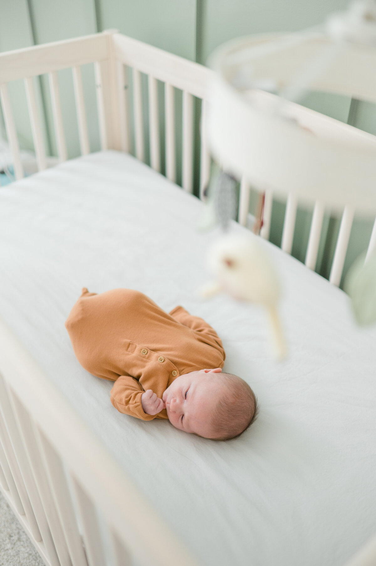 newbornpreviews-13