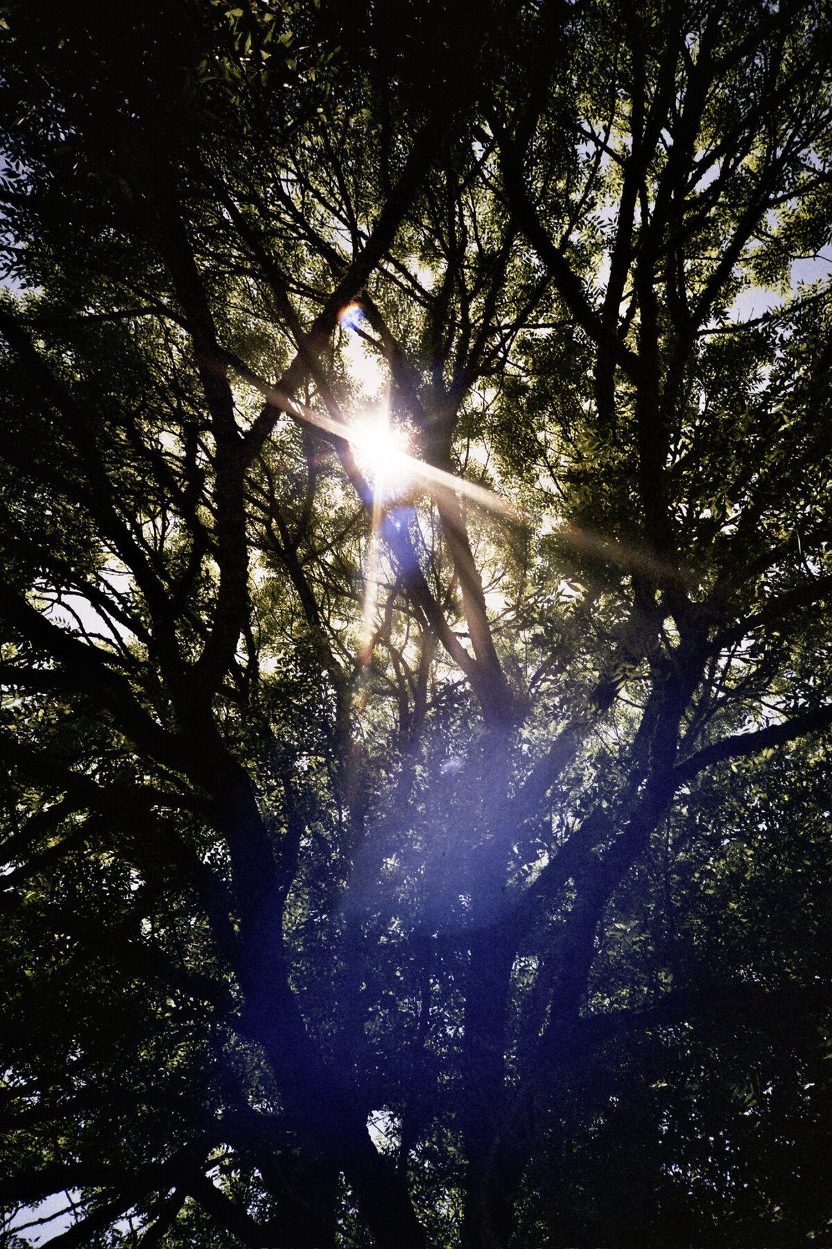 Fotoreeks_Observations_4