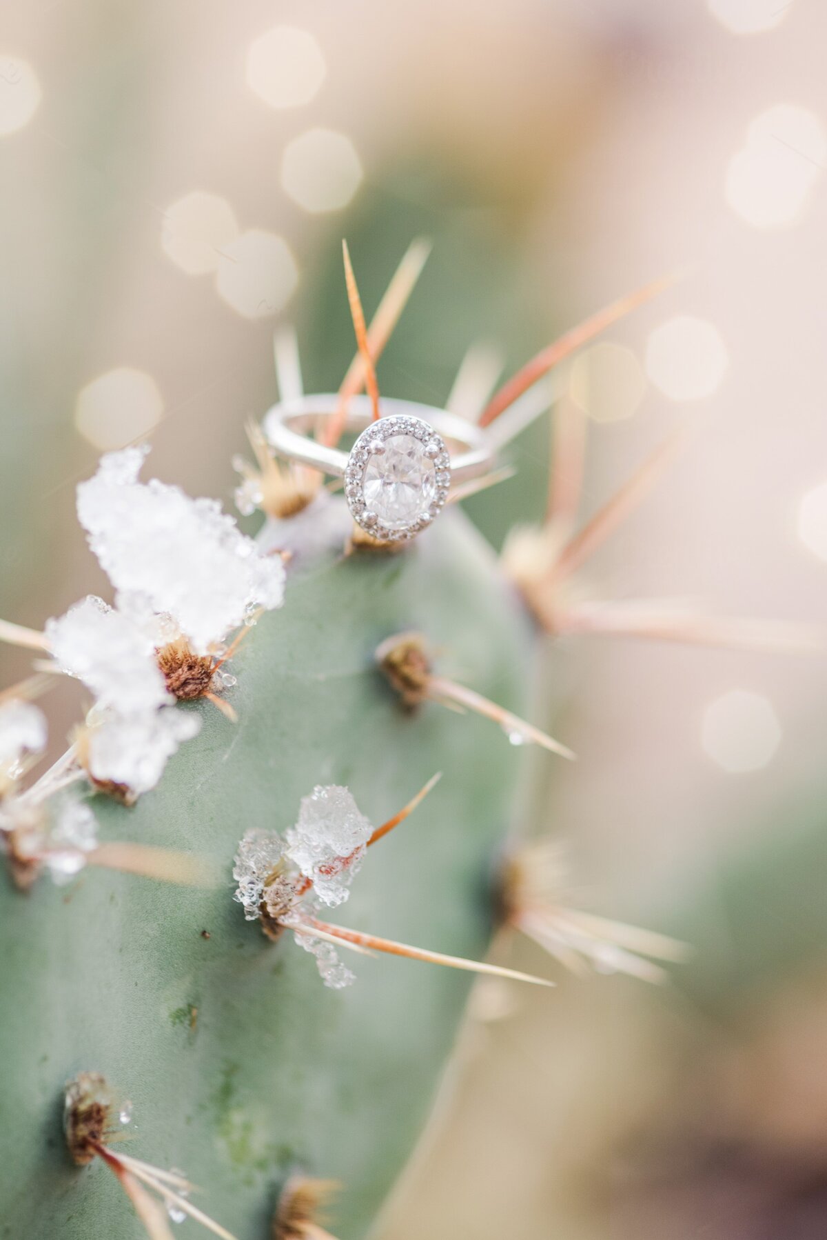 Wedding-Photographer -Albuquerque-New Mexico-santa Fe  (5)