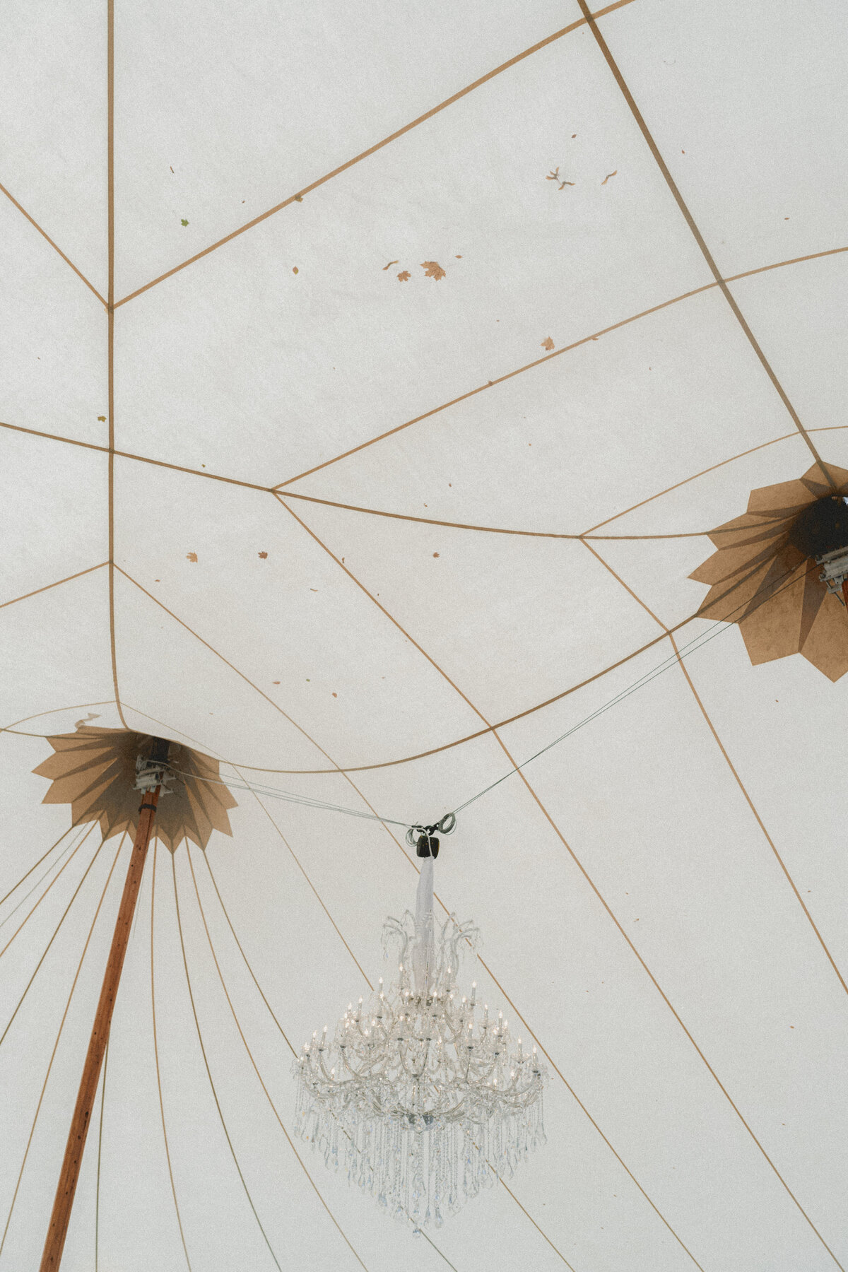 Grace & Ardor Co. East Coast Wedding Engagement Photography Pennsylvania New York City New Jersey Timeless Bold Art Direction Editorial Erin McGeever57