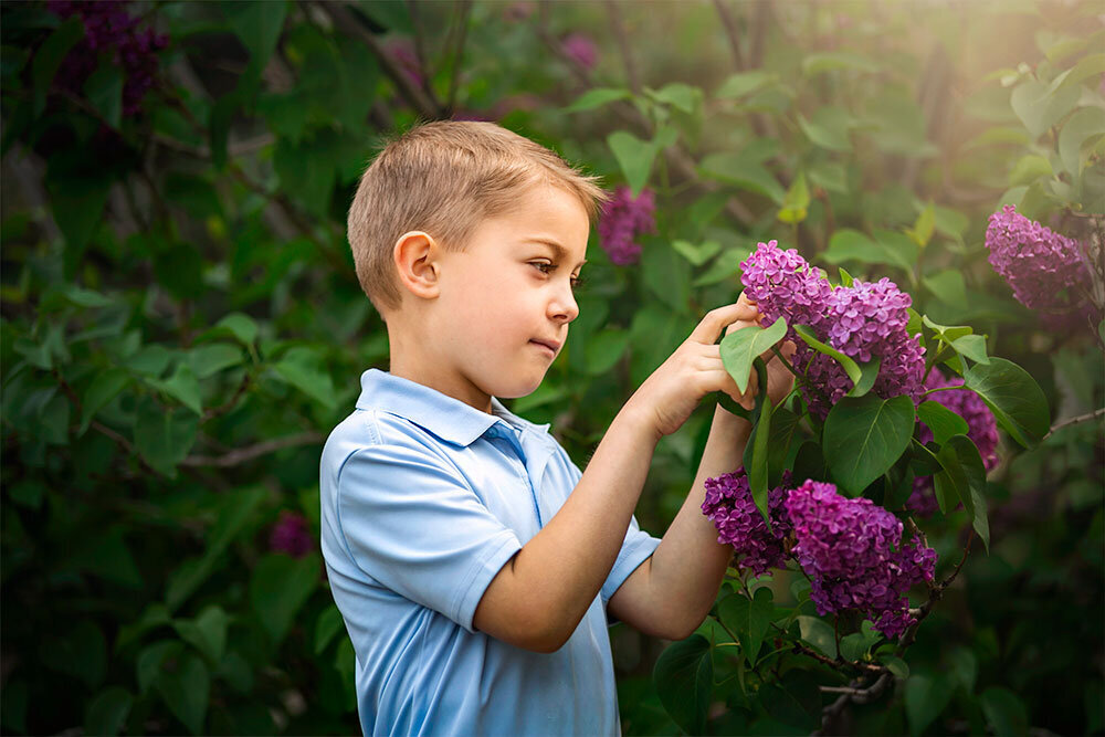 fine-art-boy-lilacs-child-photographer-best-boulder-denver