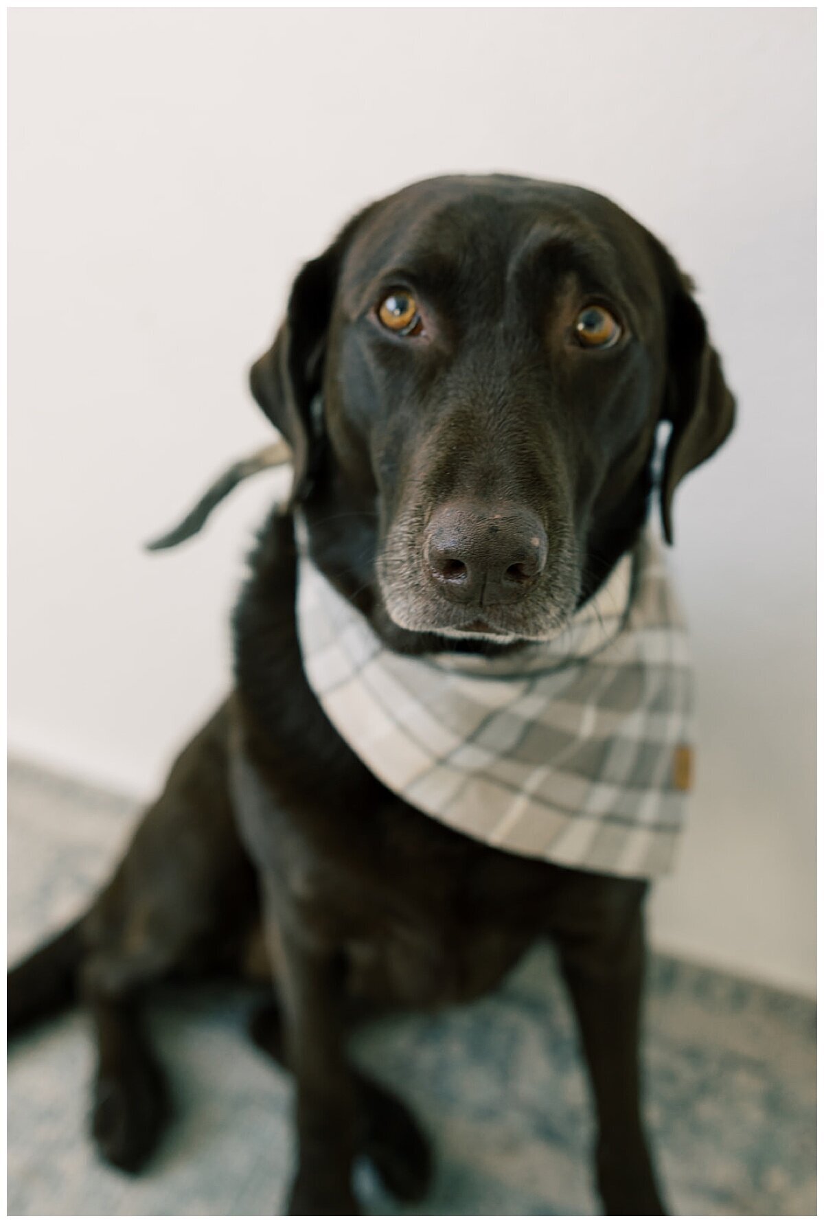 Crystal Leffel Photography Maternity Newborn Family Motherhood Destination Photographer Denver Colorado Timeless Light Airy  Film Photographer_0175