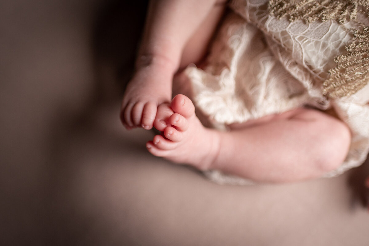 baby girl toes details newborn photographer northeast fort wayne bluffton indiana