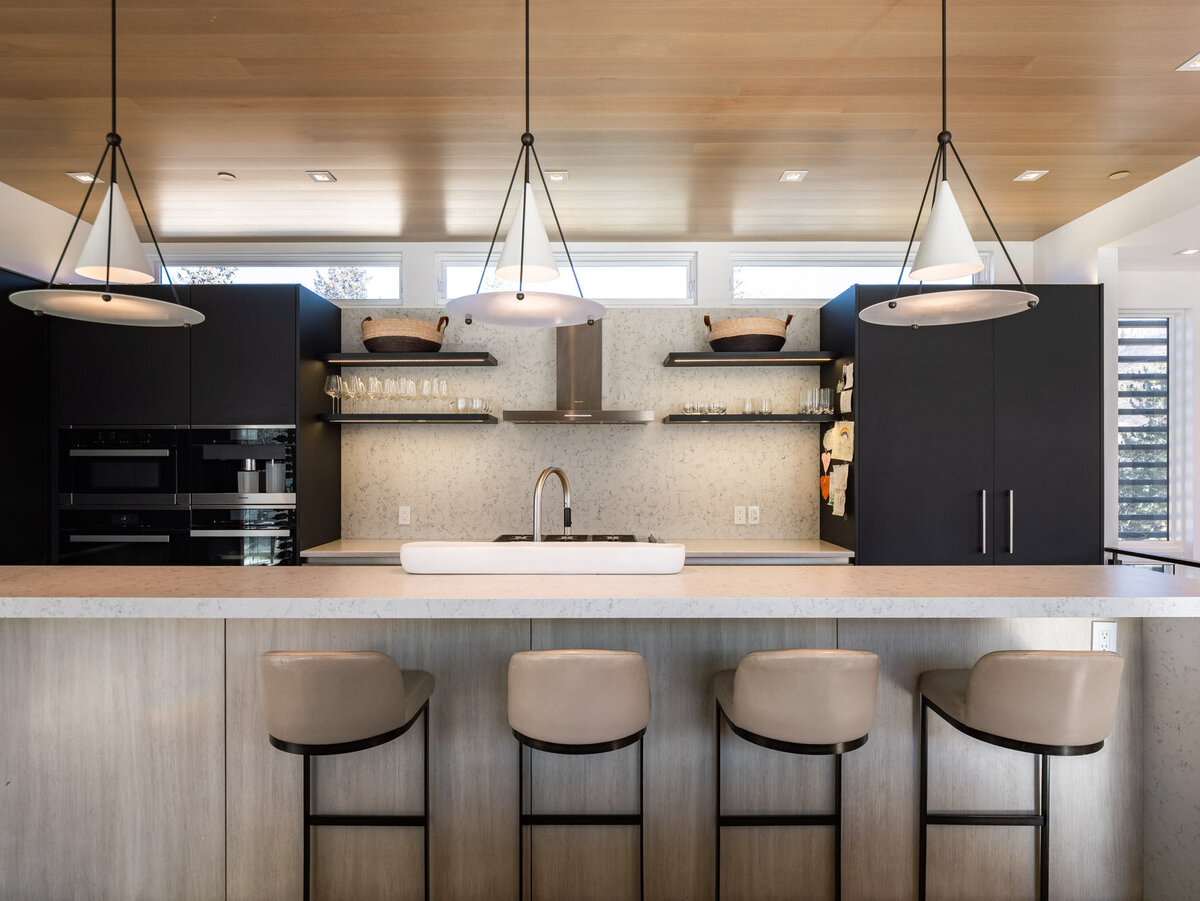 203 N Monarch Street, Aspen (17)