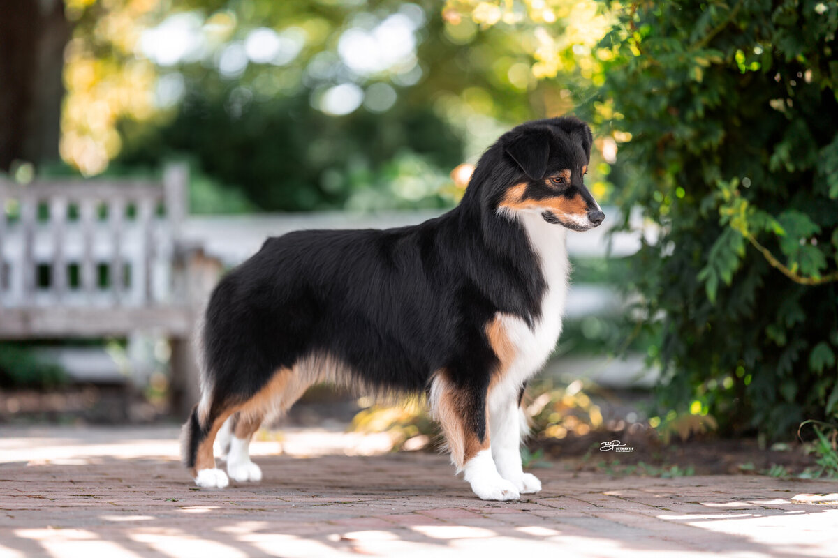 240902_JinxKY_WEB-1a