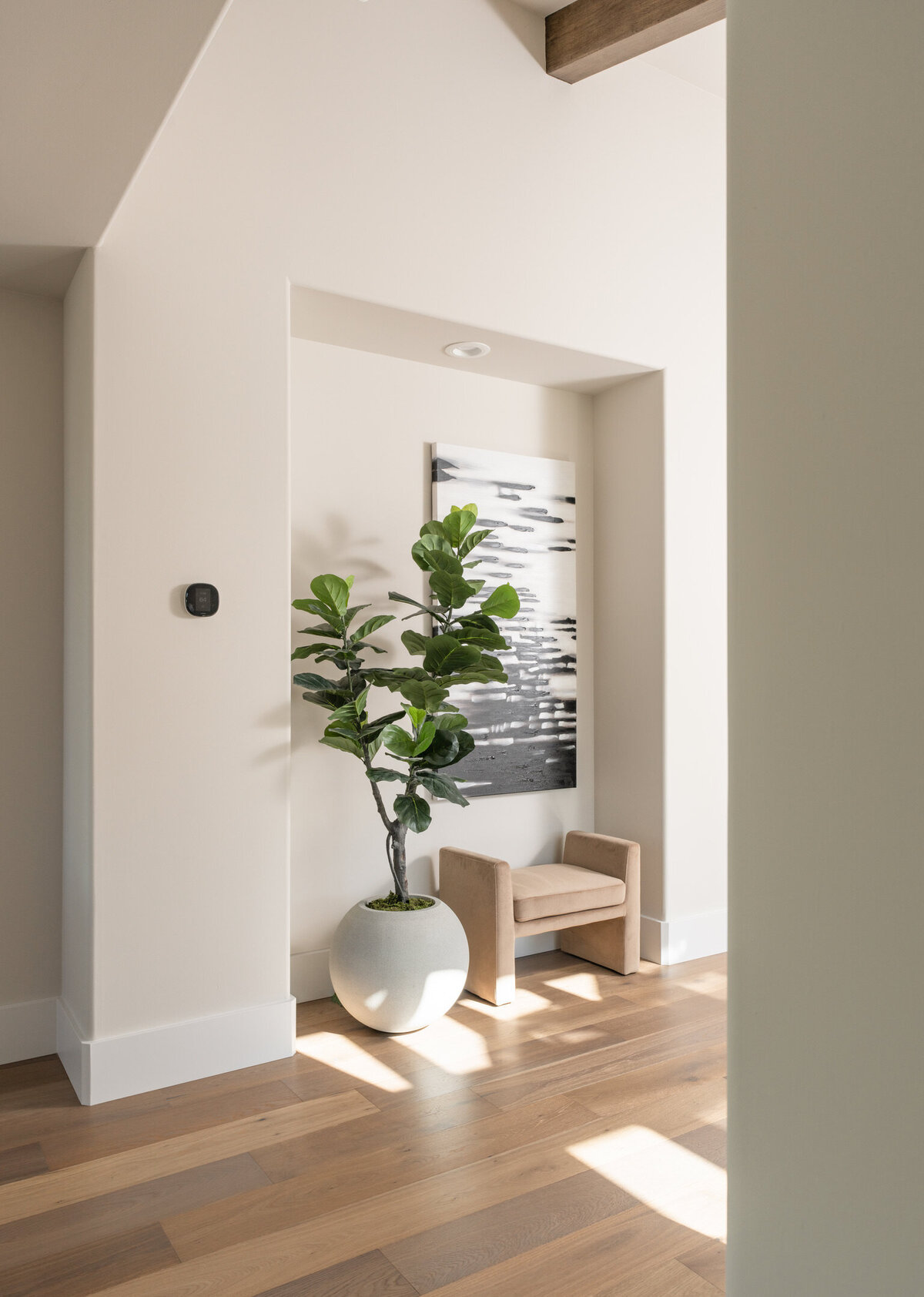 potted plant in entry way