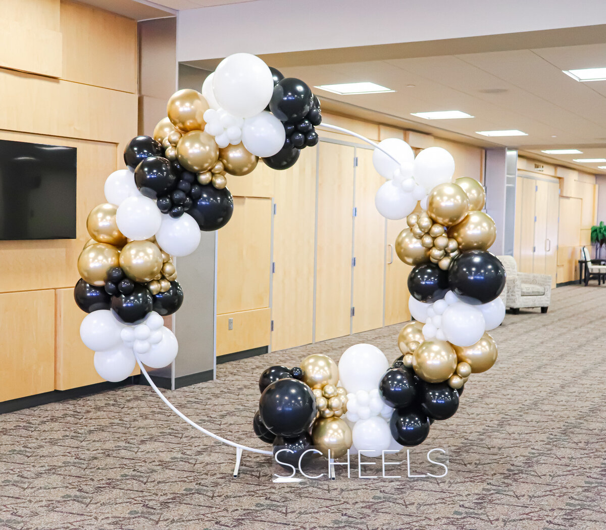 balloons-bismarck-nd-40