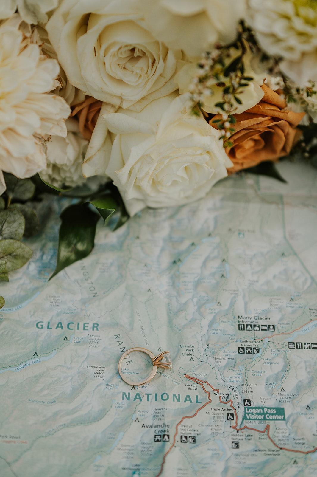 presley-gray-glacier-national-park-elegant-elopement-1232