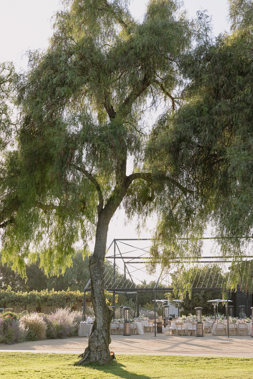 editorial-film-wedding-photographer-based-in-los-angeles-and-new-york-city-wedding-venue-Roblar-Farms-santa-ynez-by-rachel-artime-wedding-photography-1511