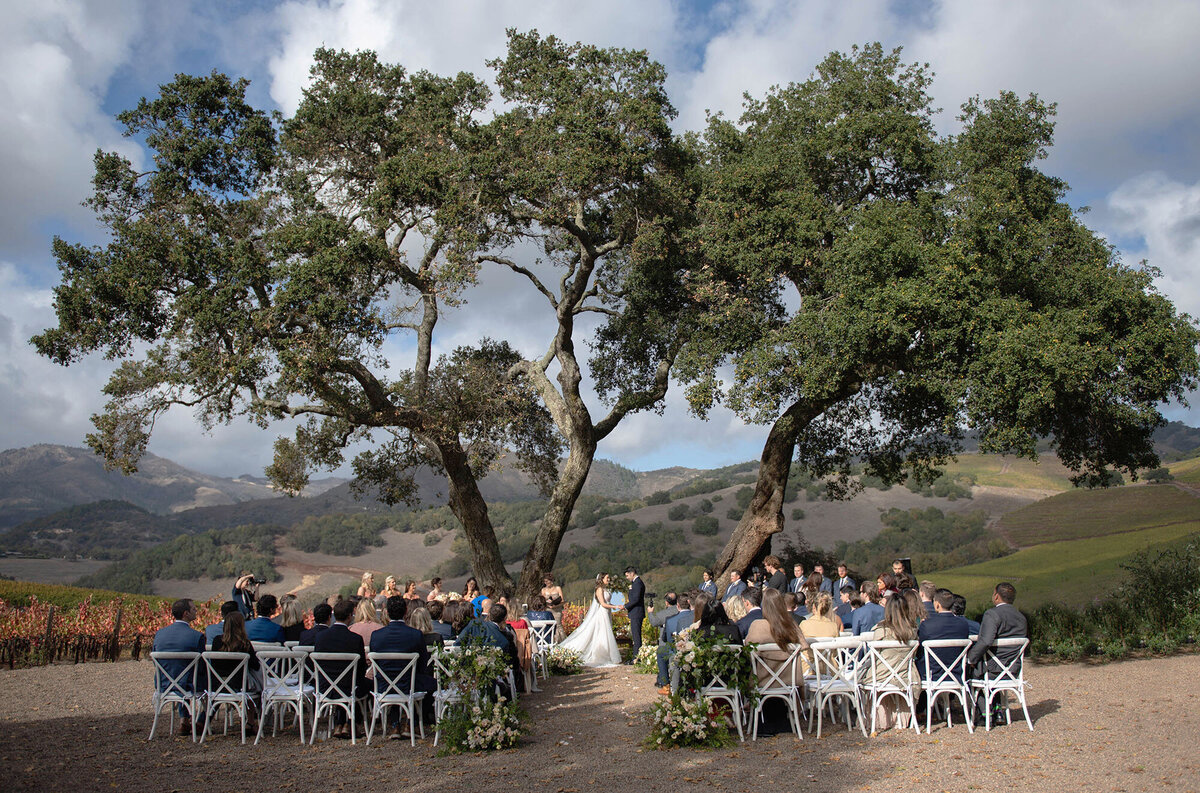 napa-wedding-2