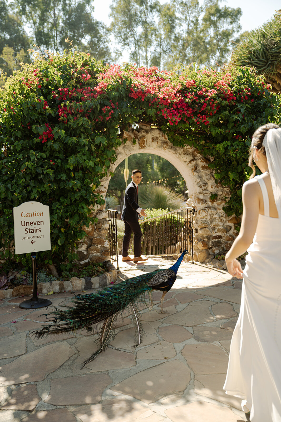 meagan-hilss-events-newlywed-portraits