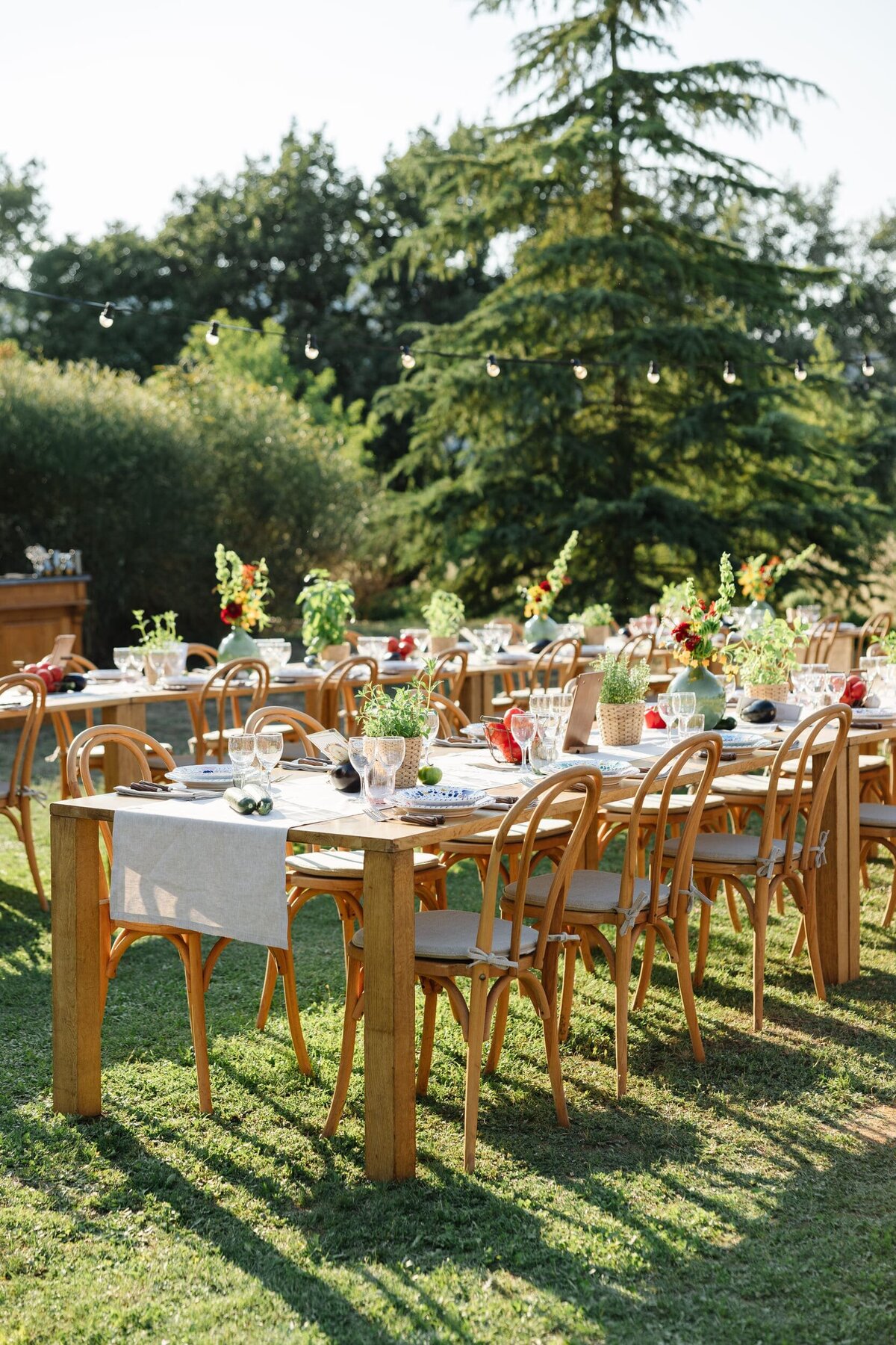 Long-tables-outdoor-dinner