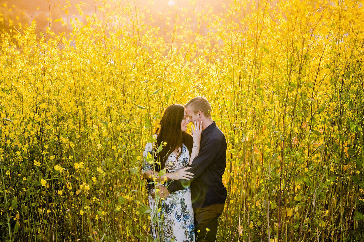 Engagemens Session in a Flower Field