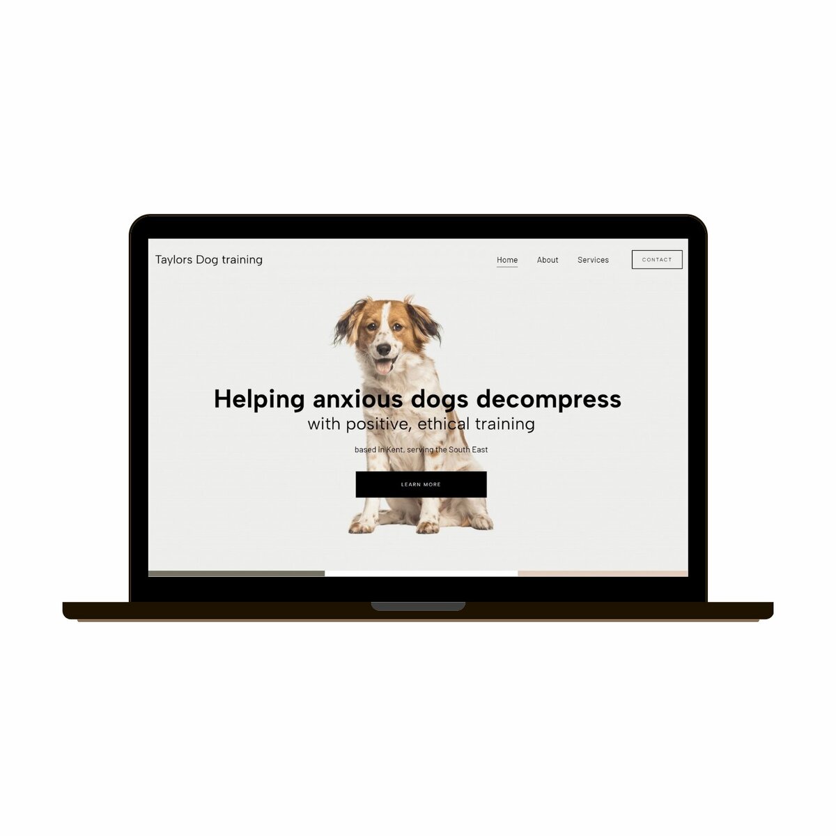 Taylors Dog Training Website concept desktop view