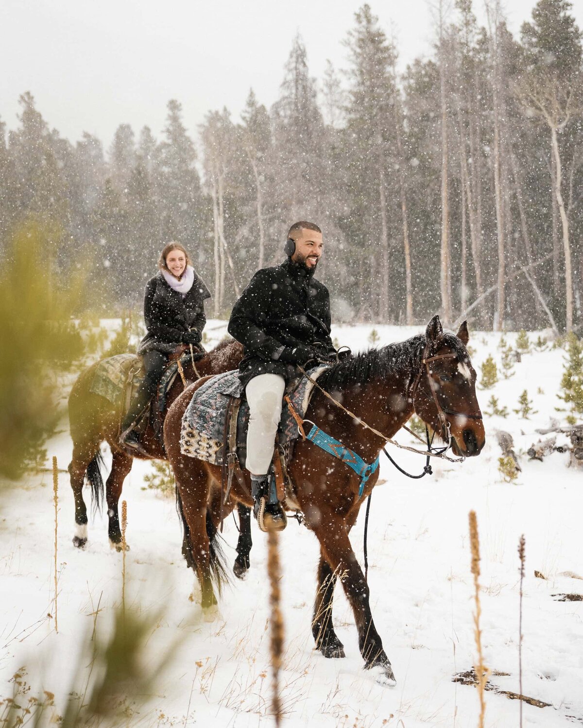 Horseback riding proposal in Estes Park