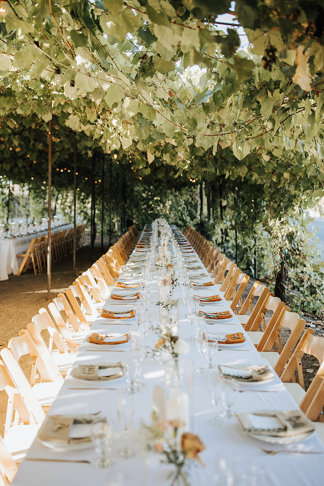 Alexandria & Trent-33_websize