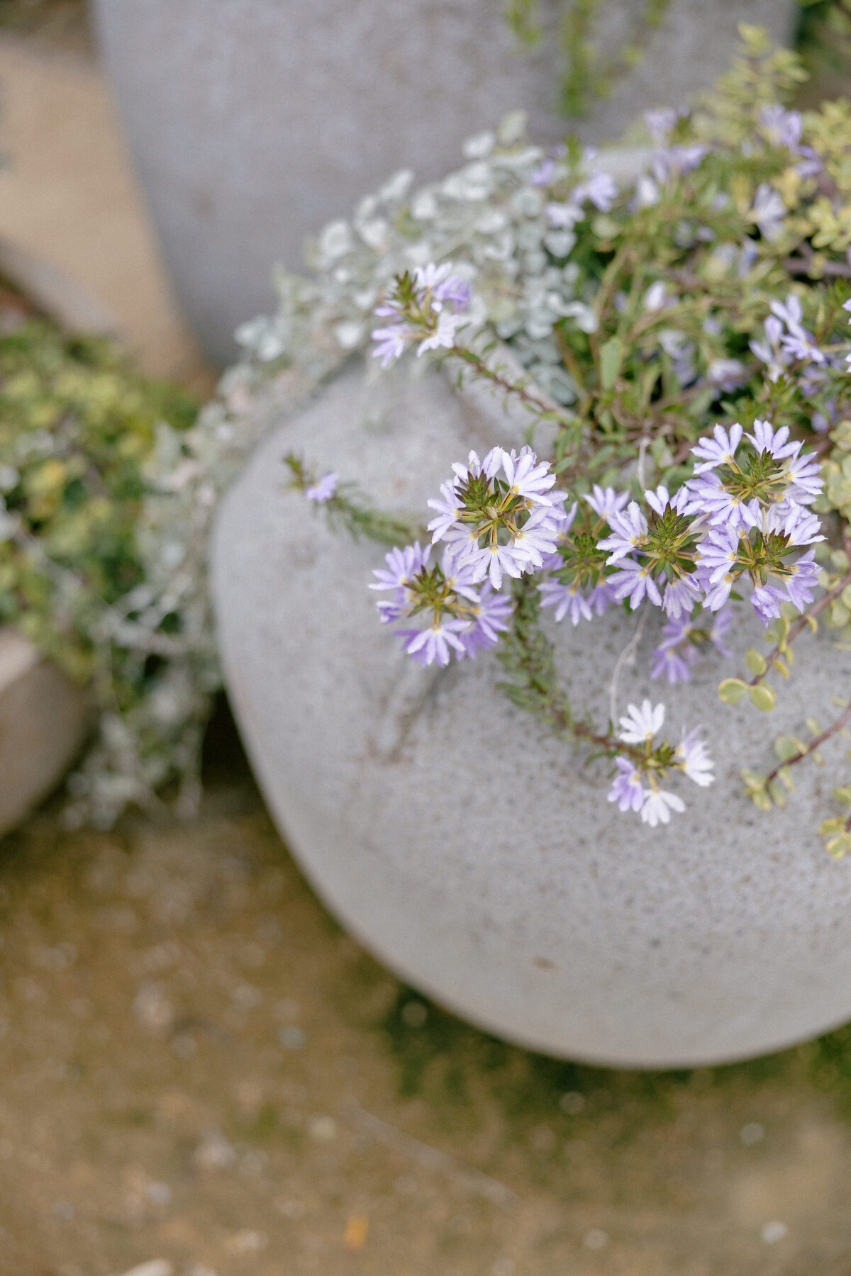 Grand_Gimeno_Wedding_Photos-73