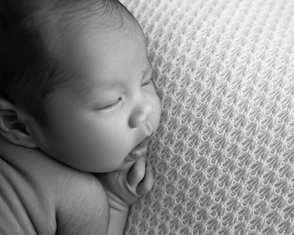 Black white newborn sleeping portrait Round Rock professional photographer