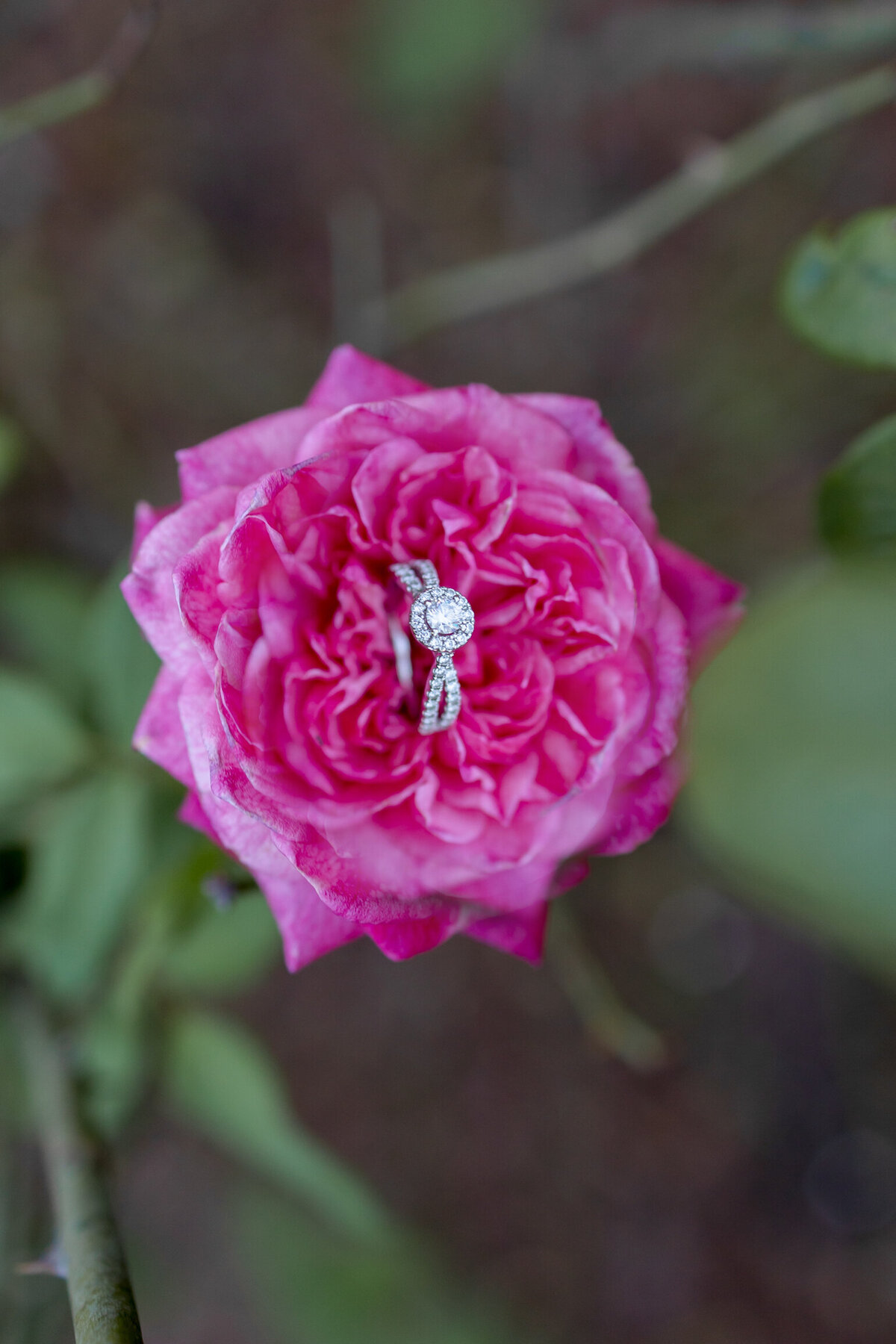 orlando-engagement-photo-location 0058