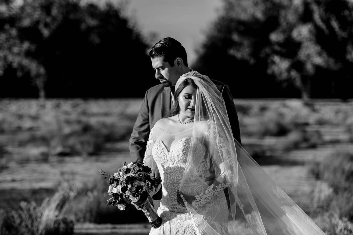 El Paso Wedding Photographer_091_VaBe_0480