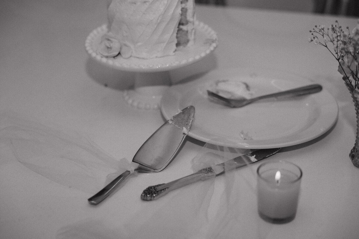 Nisswa Minnesota Wedding Photo-191