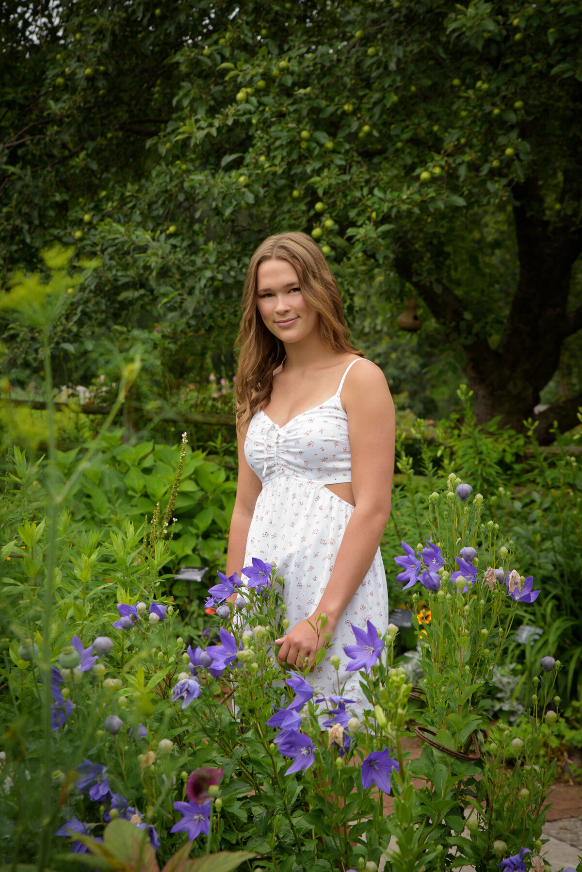 Luxemburg Casco High School senior girl wearing short white summer dress walking through flower gardens at the Green Bay Botanical Gardens in Green Bay, Wisconsin