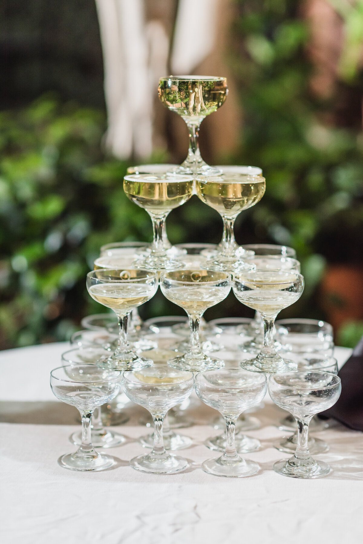 A MODERN ROMANTIC CLASSIC BLACK TIE PLANTERRA CONSERVATORY LUXURY WEDDING IN WEST BLOOMFIELD MICHIGAN BY KARI DAWSON19