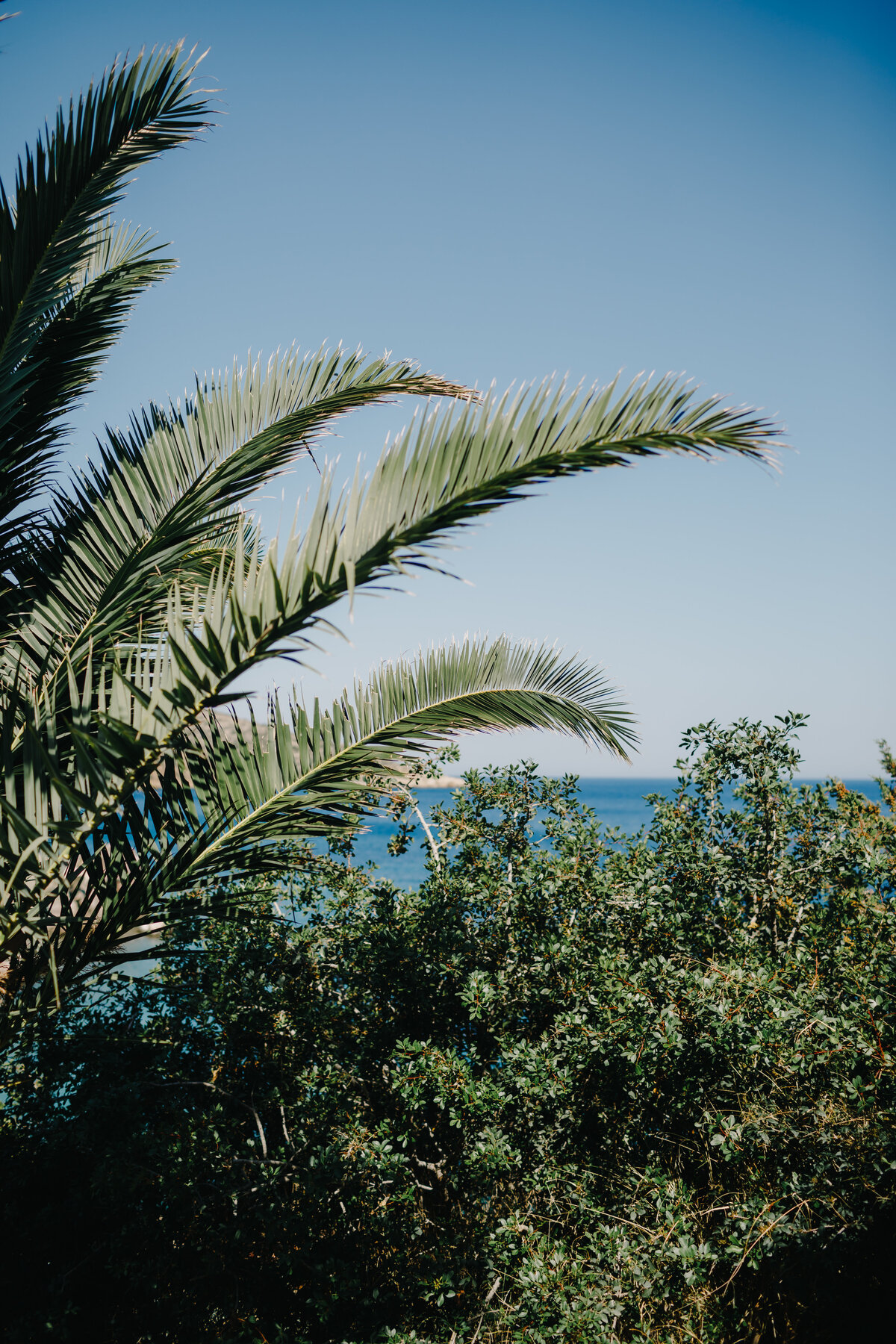 aletheia sifnos greek island wedding-15