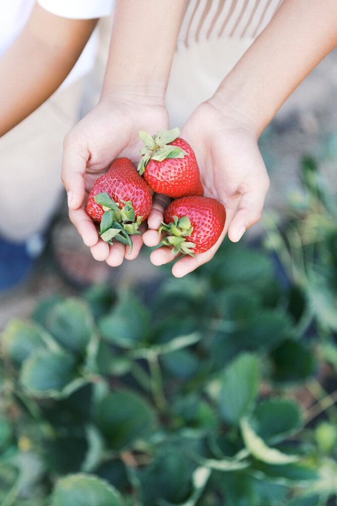 Kid_Activities_Sacramento-kelsey-krall-photography-8