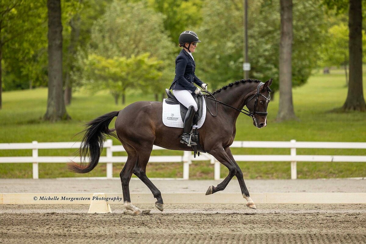 jessie-paine-jp-dressage-12