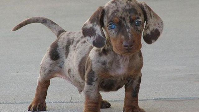 8284fd03b0cd4fe12bcecd0b03888cf2