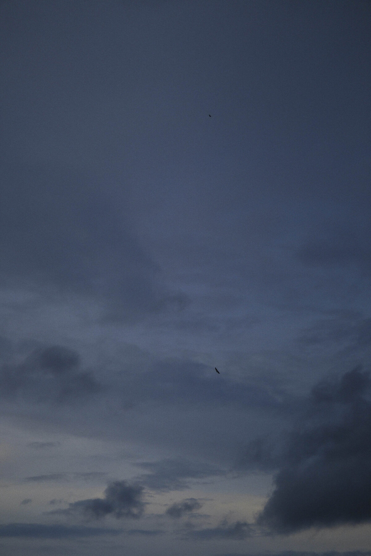 Open sky grief and loss therapy in NYC and Philadelphia