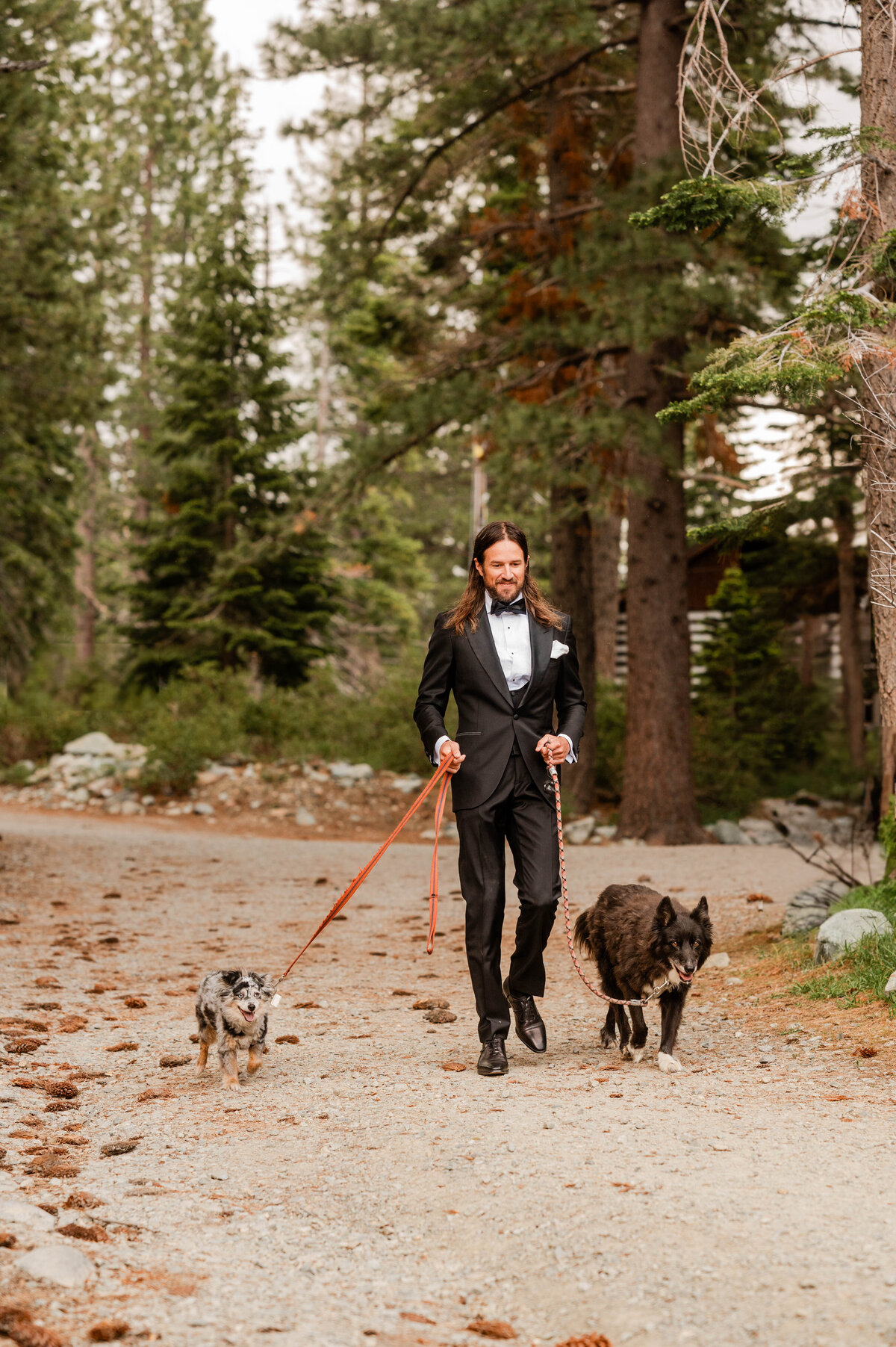Sardine Lake Elopement Photographer, Sardine Lake Elopement Photos Taken By GOT Photography, wedding photography near me, elopement photography Sardine Lake