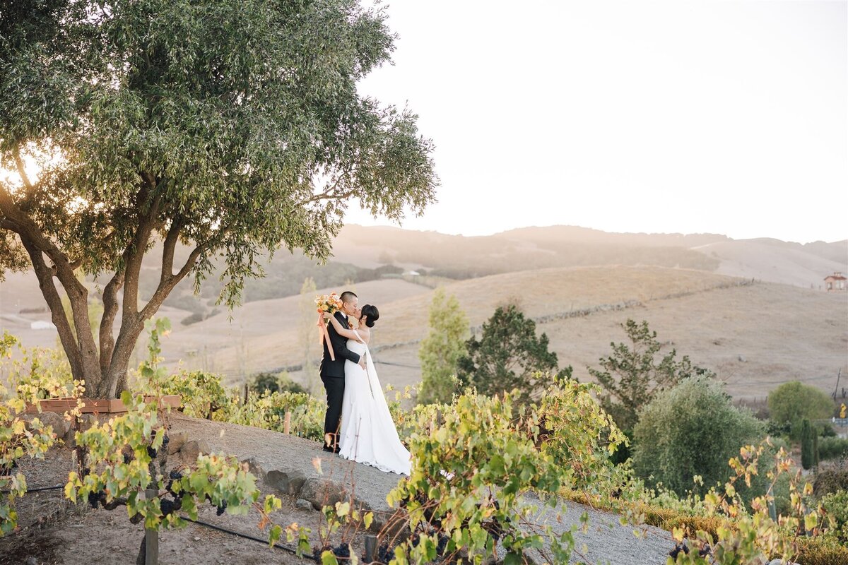 viansa-annie-ben-wedding-previews-ashley-carlascio-photography-0088_websize