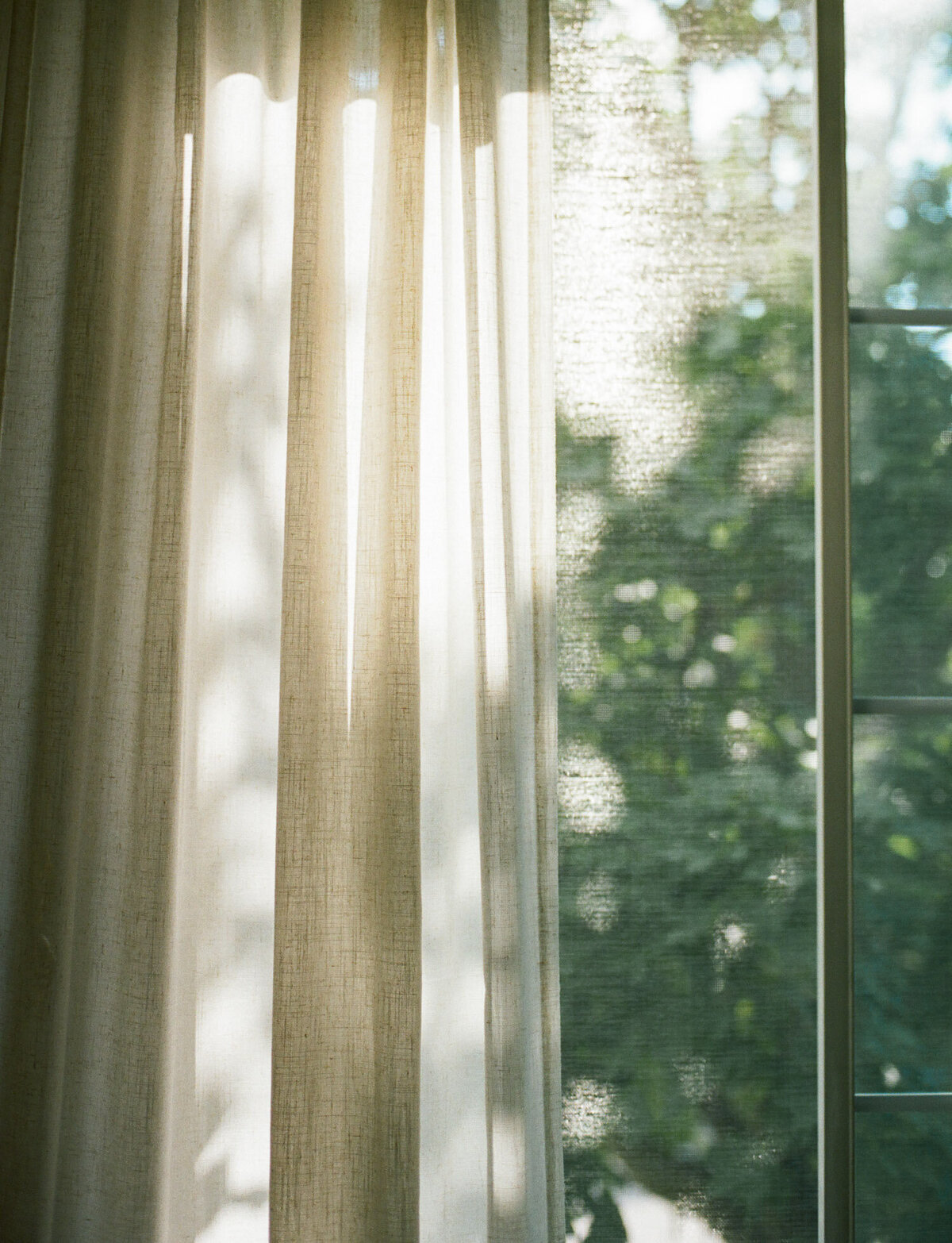 soft morning sunlight through open window with green trees, light through sheer curtains, conceptual scent photography for candle company