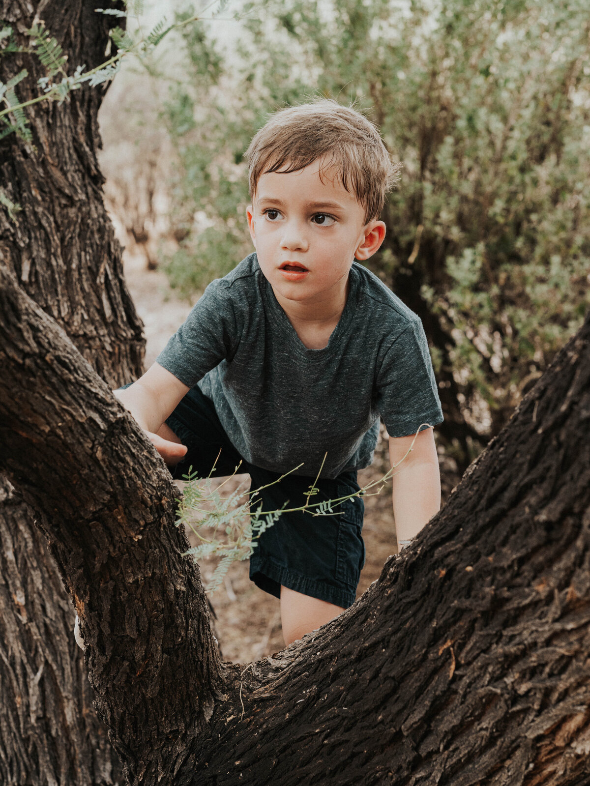 Family Photography Candid Tree